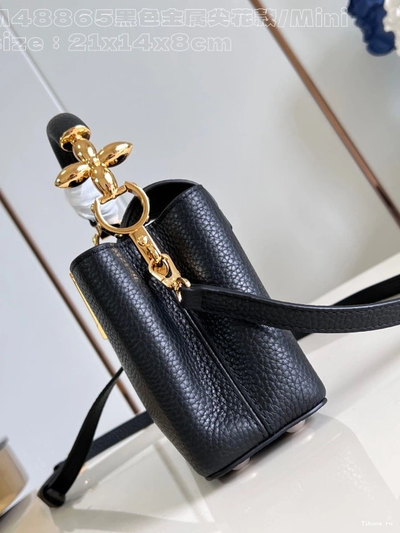 Affordable CAPUCINES MINI-21*14*8CM LOUIS VUITTON 0813
